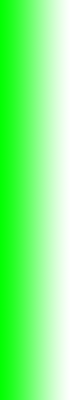 Groen-wit1.png