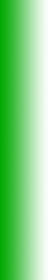 Groen-wit2.png